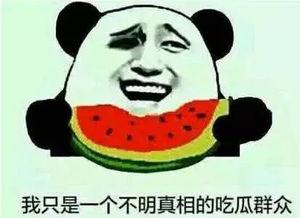 娱乐吃瓜名字怎么取的啊,揭秘“娱乐吃瓜”名字背后的趣味与智慧