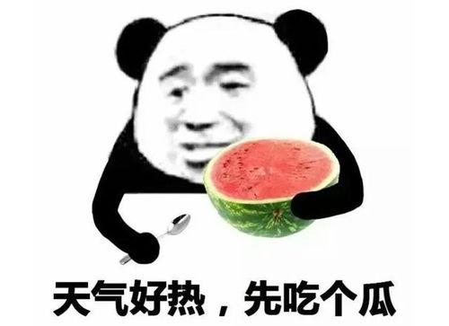 吃瓜的表情该怎么回复