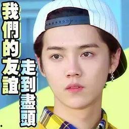 娱乐圈吃瓜是真是假,真相与谣言的交织